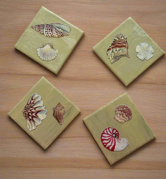 4 ceramic tile coasters painted cream color with sea shell illustrations decoupaged onto each coaster